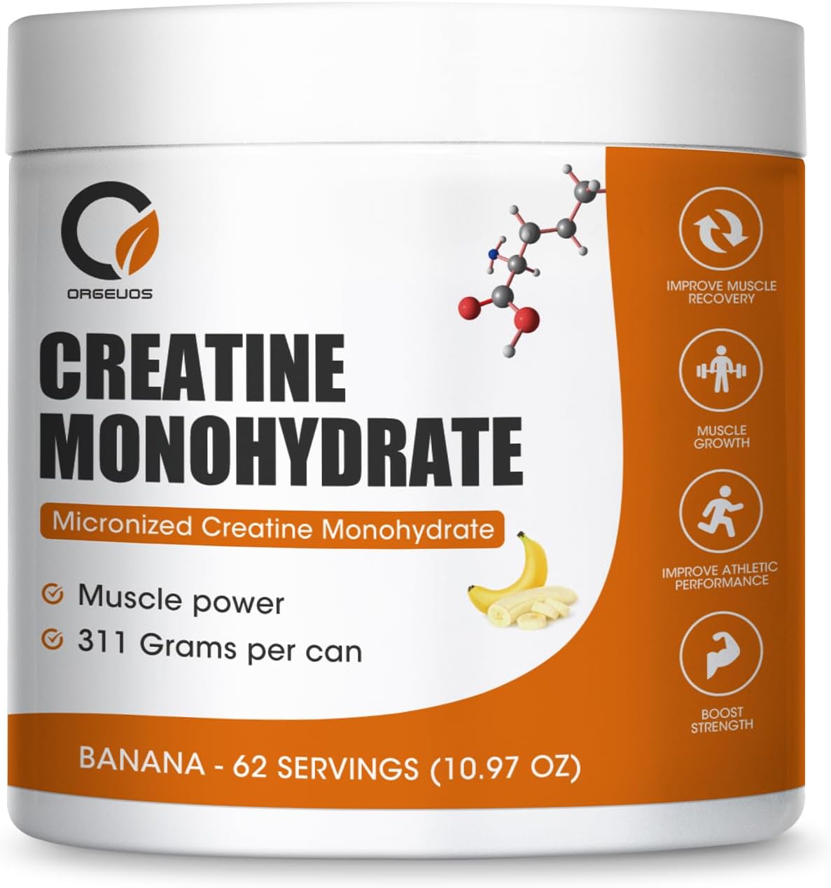 ORGEUOS Creatine for Women, Micronized Creatine Monohydrate Powder 311G, Increase Lean Muscle Mass, Reduce Recovery Time, Promotes Brain and Bone Health