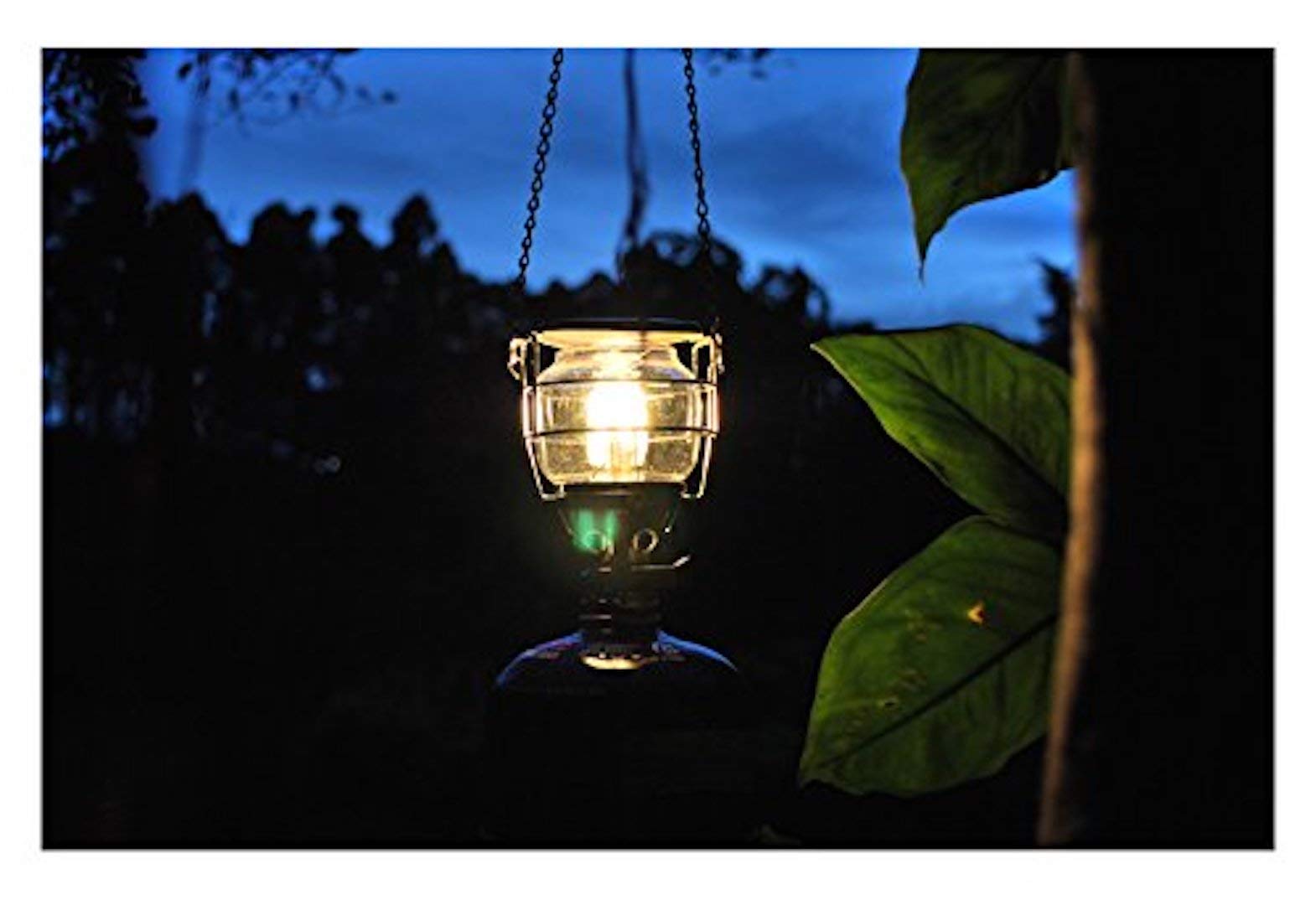 Amazon.co.jp: キャンピングムーン（CAMPING MOON） ポータブル