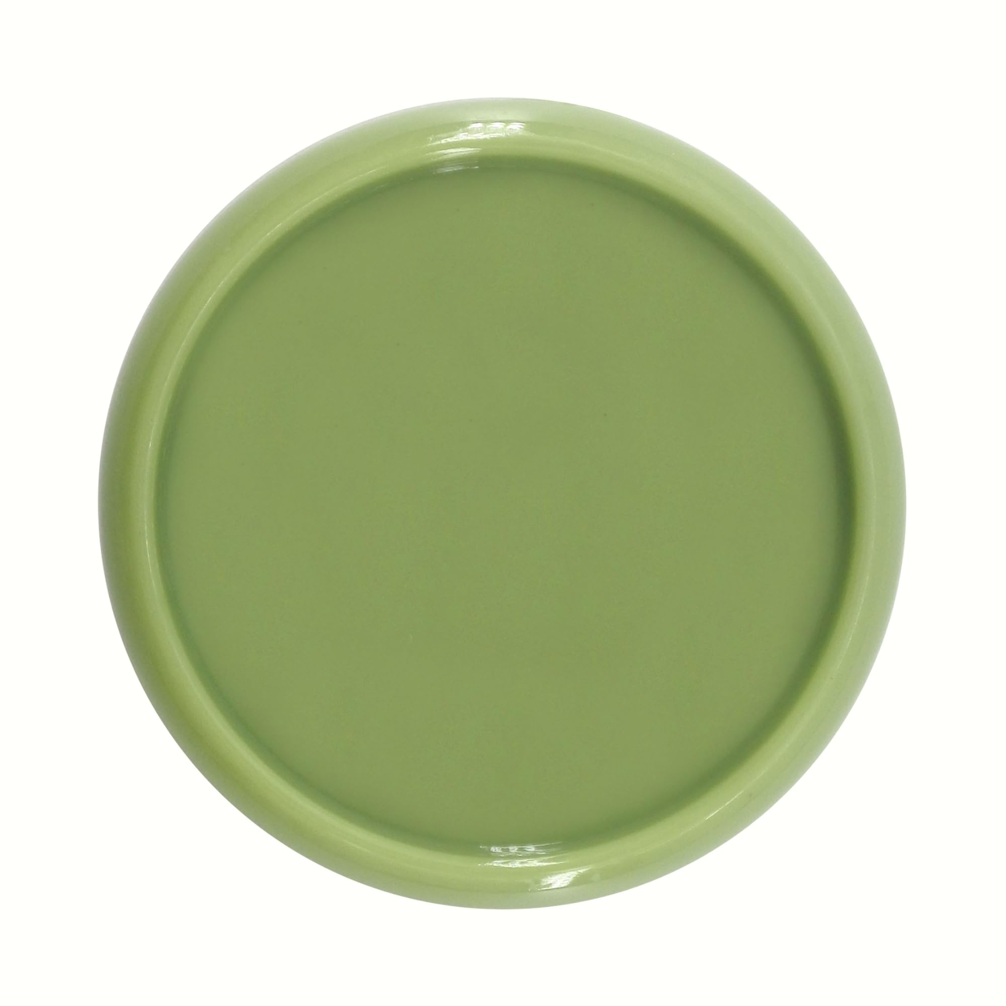 ITSYHPRO 33PCS Discbound Expansion Discs Rings for DIY Bind Notebook and Planner Back to School Supplies (Light Green,1.1"/28 mm)