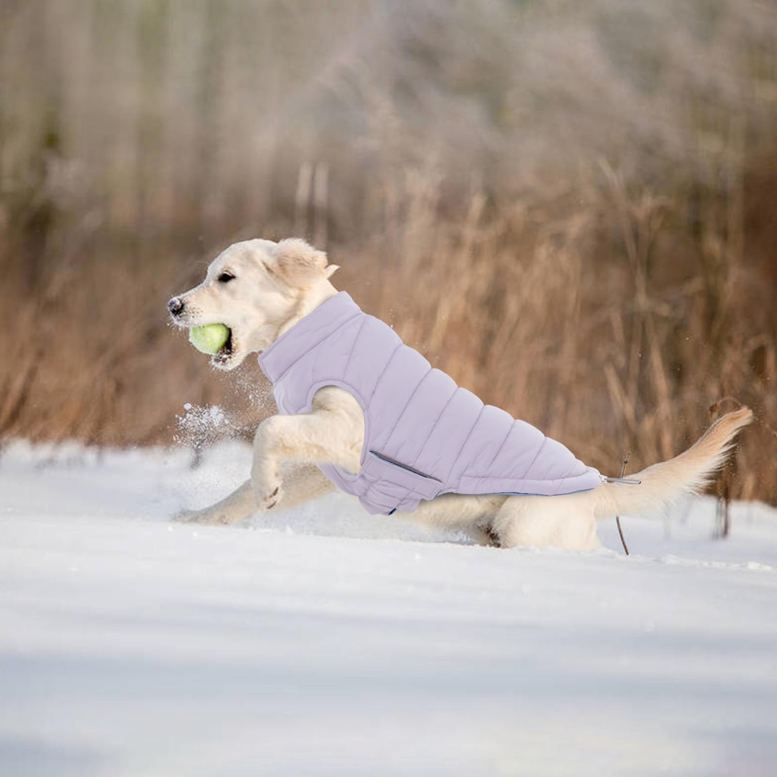 Lelepet Piumino per cani caldo, reversibile, imbottito, antivento, leggero, per il freddo, con cappottini con gancio e anello, per cani di taglia extra grande, non perde pelo, facile da mettere e