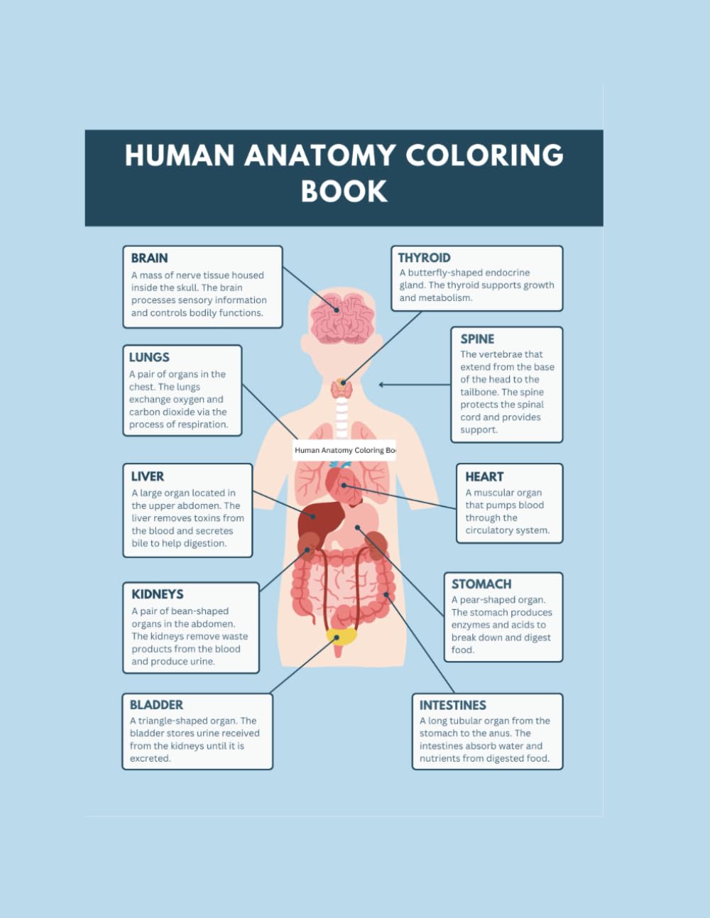 Human Anatomy Coloring Book: A fun and educational anatomy coloring experience