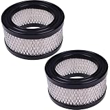2x Air Intake Filter 231847 236840, Replacement for Kohler OEM