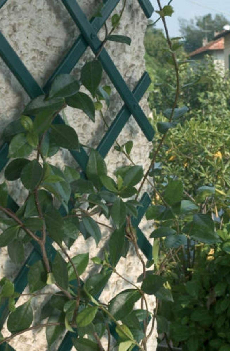 1 X GREEN EXPANDING PLASTIC GARDEN TRELLIS 1.5M / 150CM X 40CM