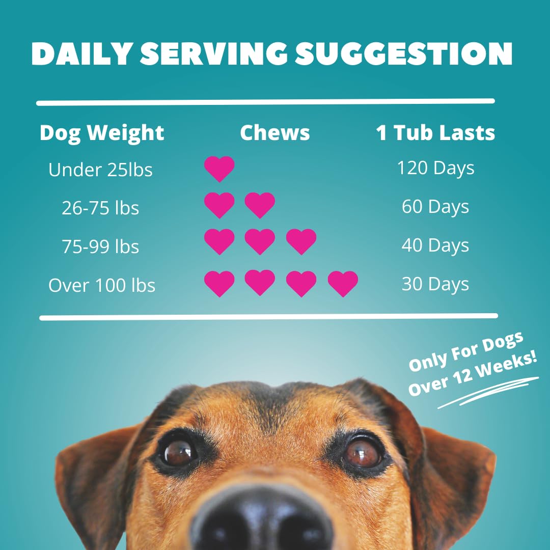 Funky Dawg Premium dog probiotic supplement chews - Image 3