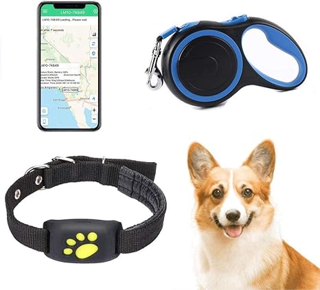 gps dog tag amazon