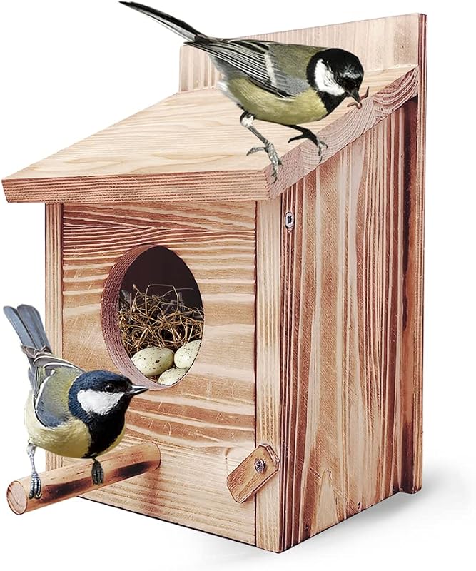Casa Pajaros Exterior de Madera, para Colgar en el Jardin, Jaula Nidos de Pajaros Agaporni, Pajareras para Canarios, incubadora