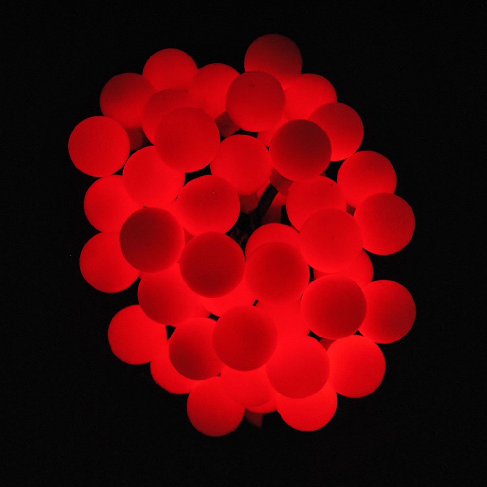 LightsGo Battery Powered Berry Ball LED Fairy Lights 40LEDs 4M (Red)