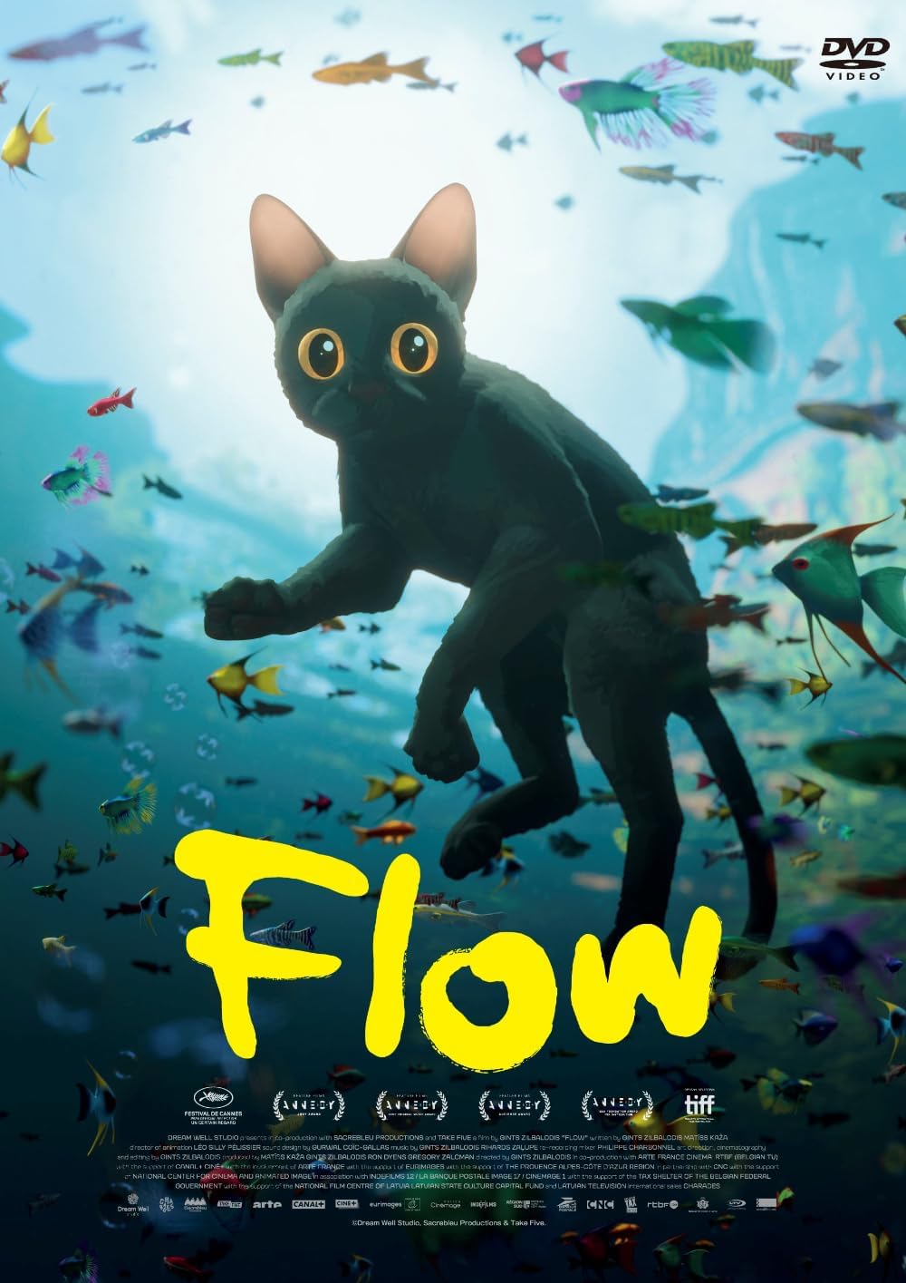 Flow