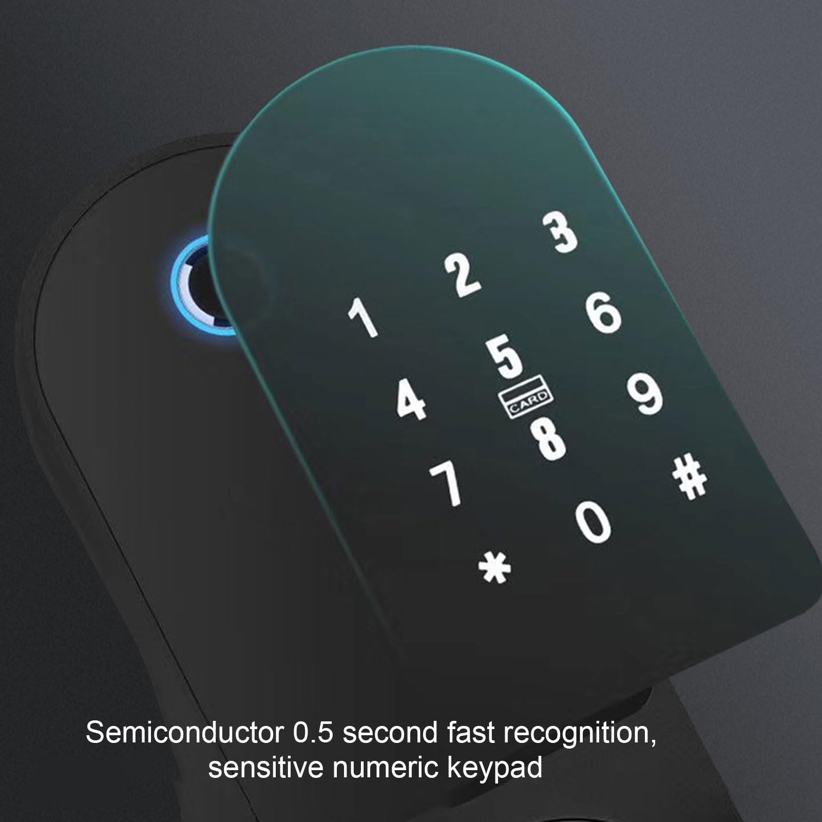 Smart Lock Sicurezza professionale Impermeabile Impronta digitale Semiconduttore Tecnologia biometrica Serratura con catenaccio per la casa 'appartamento