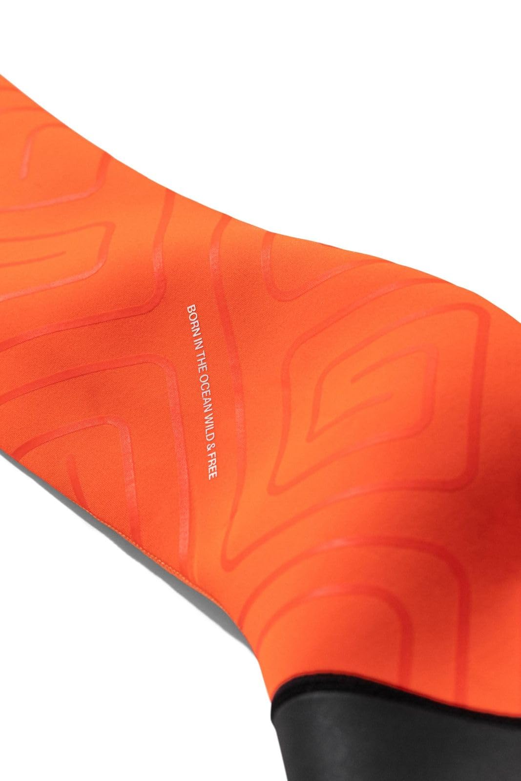 View 8