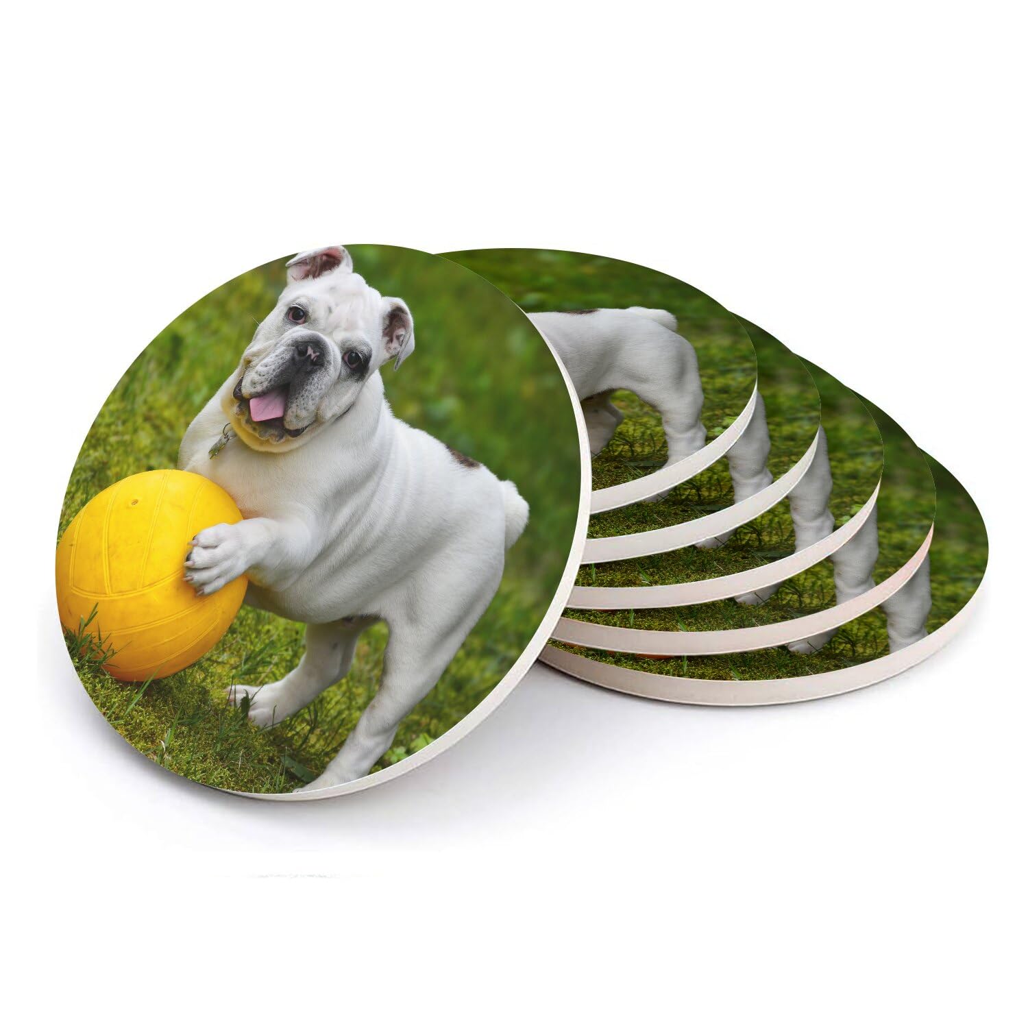 Sous-verre ronds en céramique anti-tache bouledogue blanc pour table