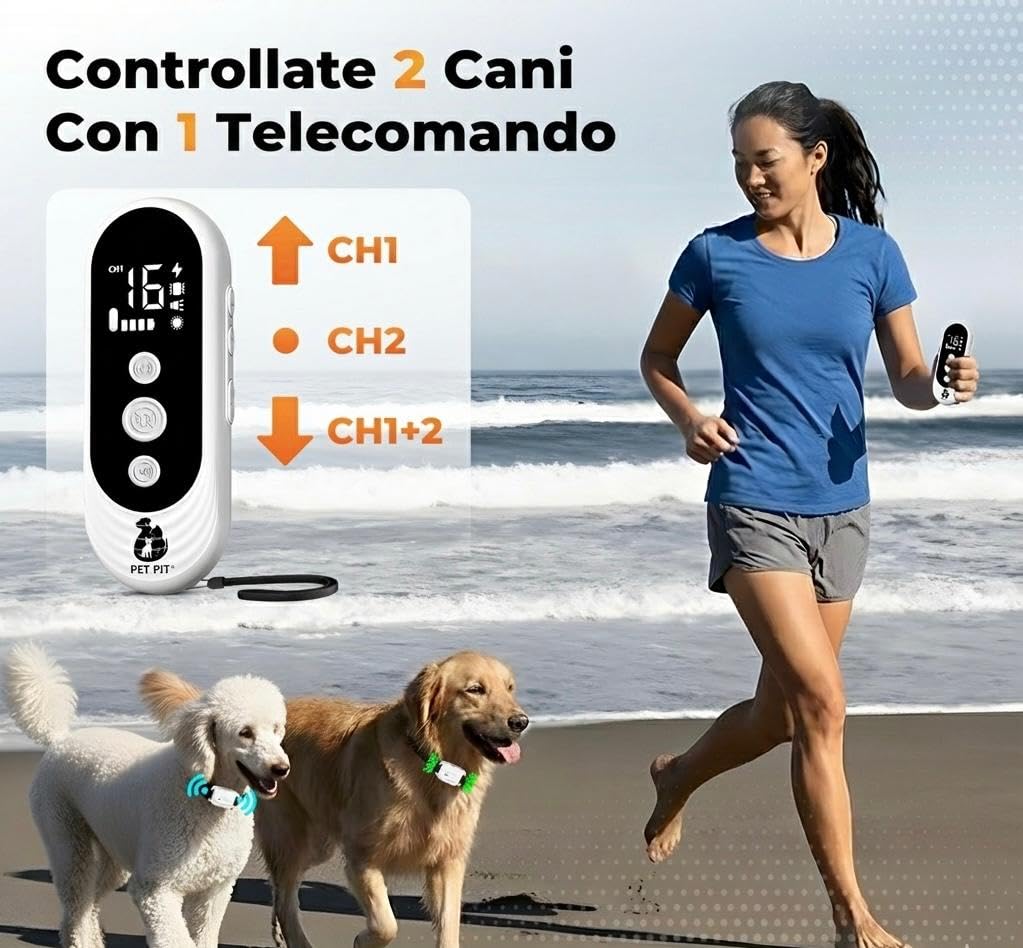 Collier pour Chien avec Télécommande, Portée jusqu’à 3 km, Fonctions Sonores, Vibration et Lumière, 4 Modes Personnalisables, Étanche IPX7, Rechargeable, pour Utilisation Quotidienne