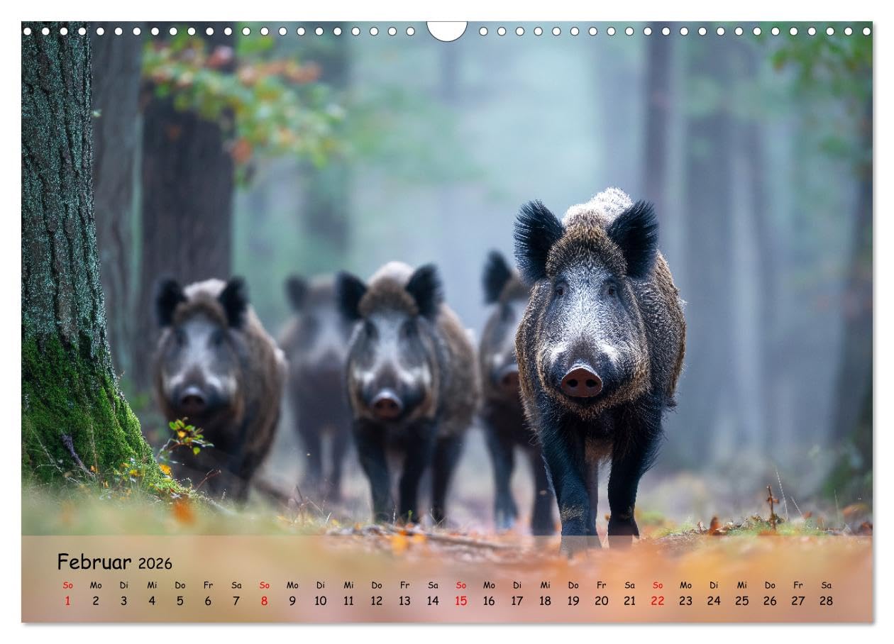 Jagd und Natur - Kalender für Jäger mit Wildtieren Deutschlands im Jahreslauf (Wandkalender 2026 DIN A3 quer), CALVENDO Monatskalender: ... in ihrer schönsten Form. (CALVENDO Natur)