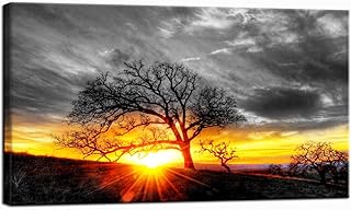 Nachic Wall Modern Wall Art Decor Black and White Tree at Gold Sunset Picture Canvas Prints Nature Landscape Painting Artw...