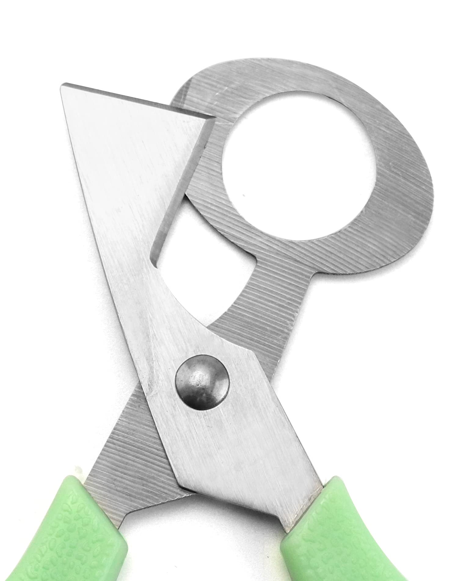 QWORK 4 Pezzi Forbici Uova di Quaglia in Acciaio Inossidabile per Cucina