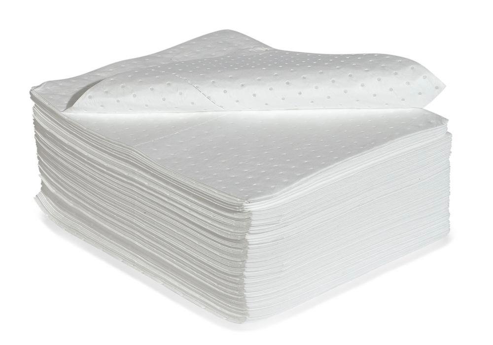 DENSORB Ölbindemittel Vlies Matten zum Aufsaugen, Economy Single, light, 40 x 50 cm, 100 Stück