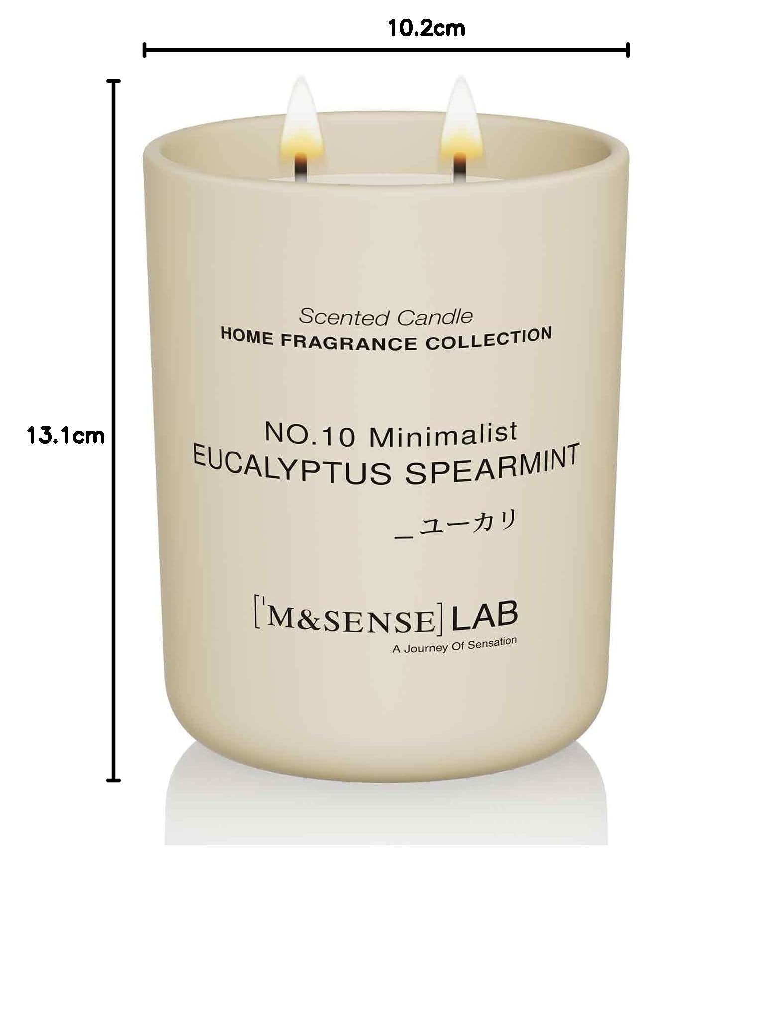 M&SENSE Grande Candele alla Soia 470g in Vetro, Eucalipto e Menta Verde, 110H Combustione, Naturale Candela Non Tossico, Doppio Stoppino in Cotone, Aromaterapia Relax, Regalo di Lusso Donne & Mamma