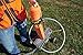Champion WheelyBird Auto-Feed Trap