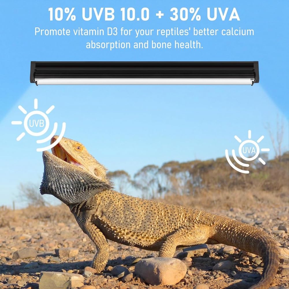 Bombilla UVB T5 para Dragón Barbudo, 10 W, 24 W, UVA, UVB, HO, Barra de Luz para Reptiles, 22 Pulgadas, Paquete de 2