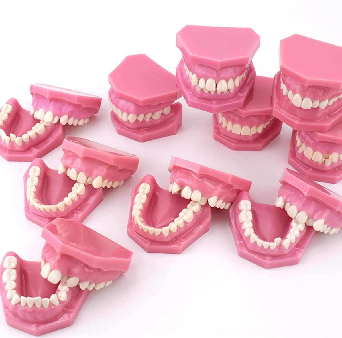 Modelo de enseñanza de estudio de dientes adultos, modelo de demostración de clasificación de maloclusión, corrección de ortodoncia, modelo de anatomía de enseñanza dental, modelo de dientes dentales
