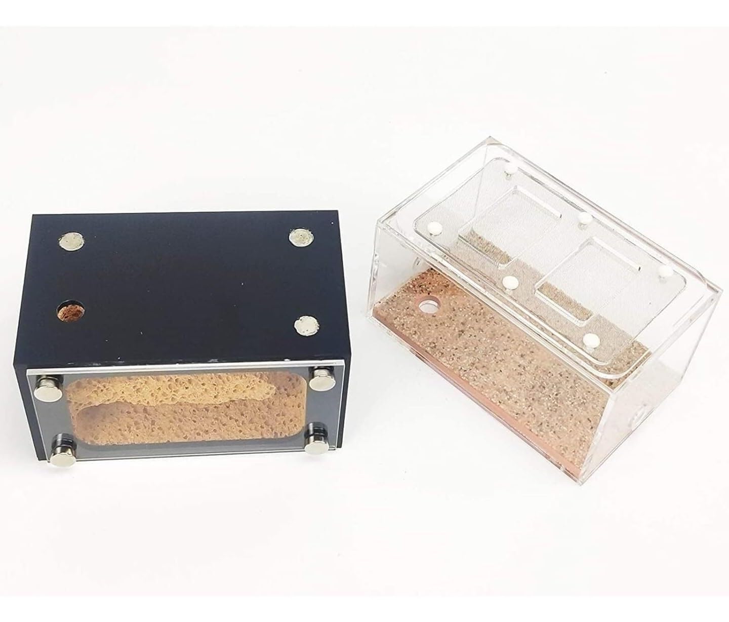 Hormiguero, Terrario de Hormigas con Zona alimentación, acrílico Transparente, 13 cm