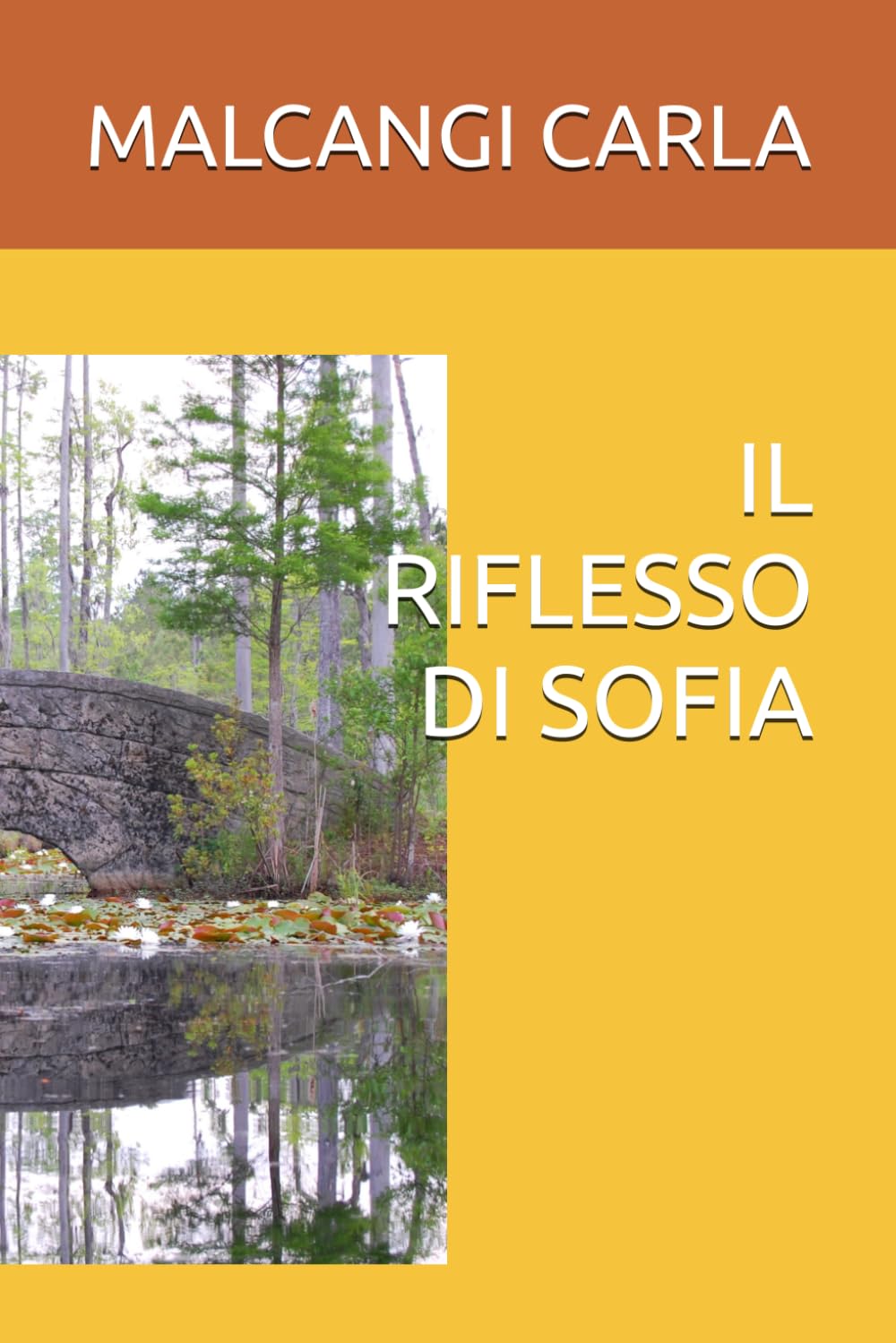 IL RIFLESSO DI SOFIA