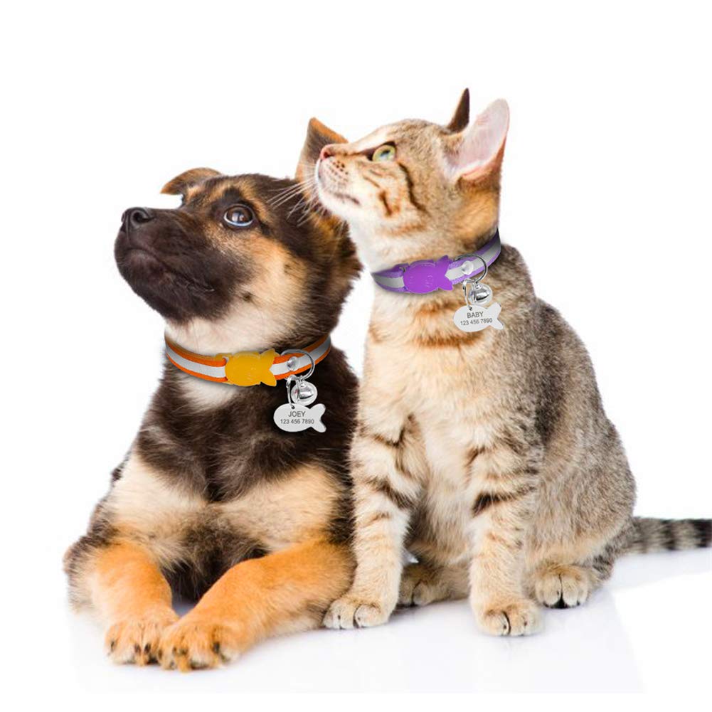 Collare di sicurezza per cuccioli di gatto, a sgancio rapido, con targhetta identificativa e campanellino personalizzabile, XS, Raissa metallizzate