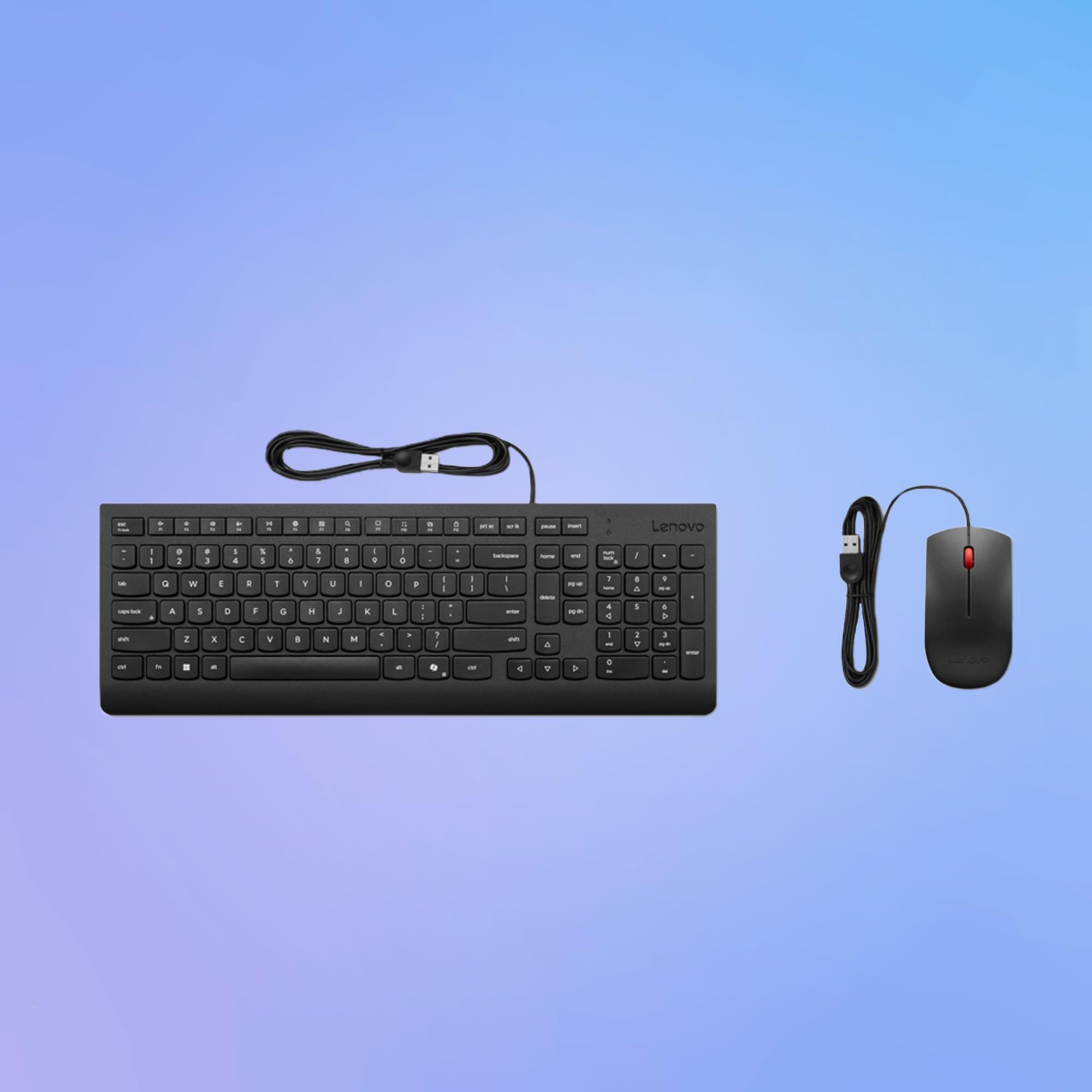 Lenovo Combo Teclado + ratón con Cable Essential – USB, diseño Compacto con Teclado, ratón ergonómico 1600 dpi, diseño antisalpicaduras, botón Copilot – Negro
