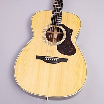 HISTORY アコースティックギター 専用ケース付き HISTORY NT-S4