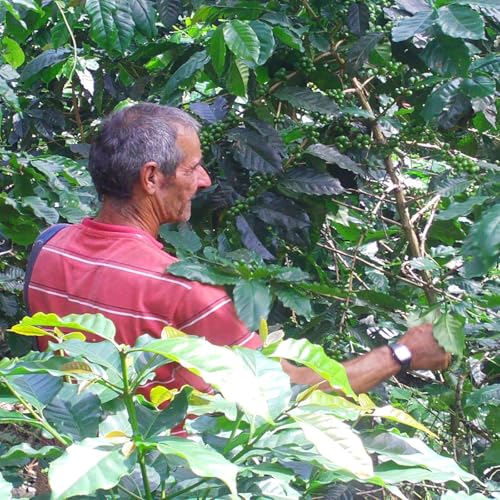 Unidad productiva de turismo cultural una alternativa para generar oportunidades