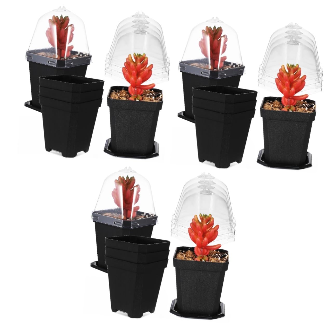 SUPVOX Petit Pot De Fleurs Succulent Semis Plantes Planteur Usine Pots De Jardin Jardinières avec Drainage Et Plateau Pot De Fleurs De Pépinière Pots De Tourbe Plastique 5pcs