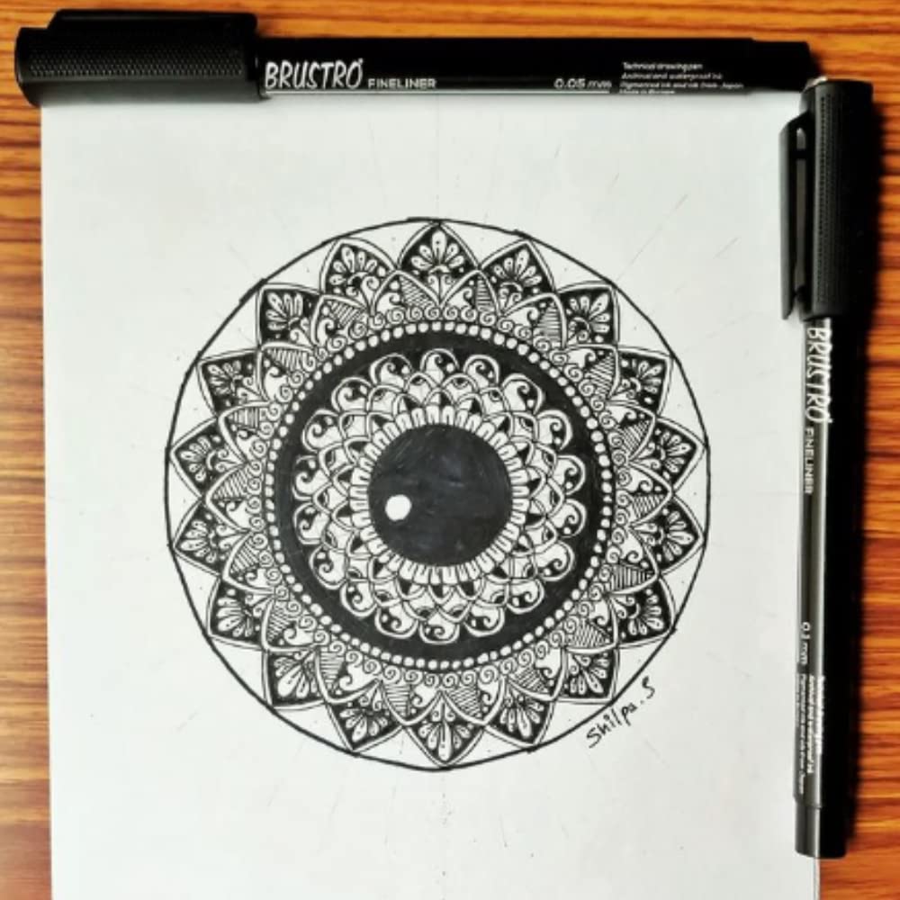 BRUSTRO Caja de 10 rotuladores profesionales a base de pigmentos (tamaños de punta de 0,8 mm, tinta negra y resistente a los rayos UV) con agarre cómodo, ideal para mandala, bocetos, escritura,