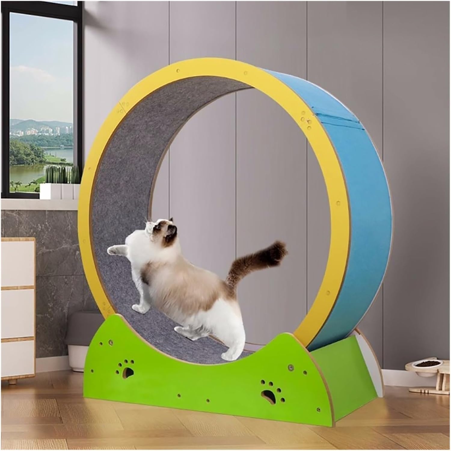 Cat Exercise Wheel Color Solid Wood Cat Wheel Exerciser