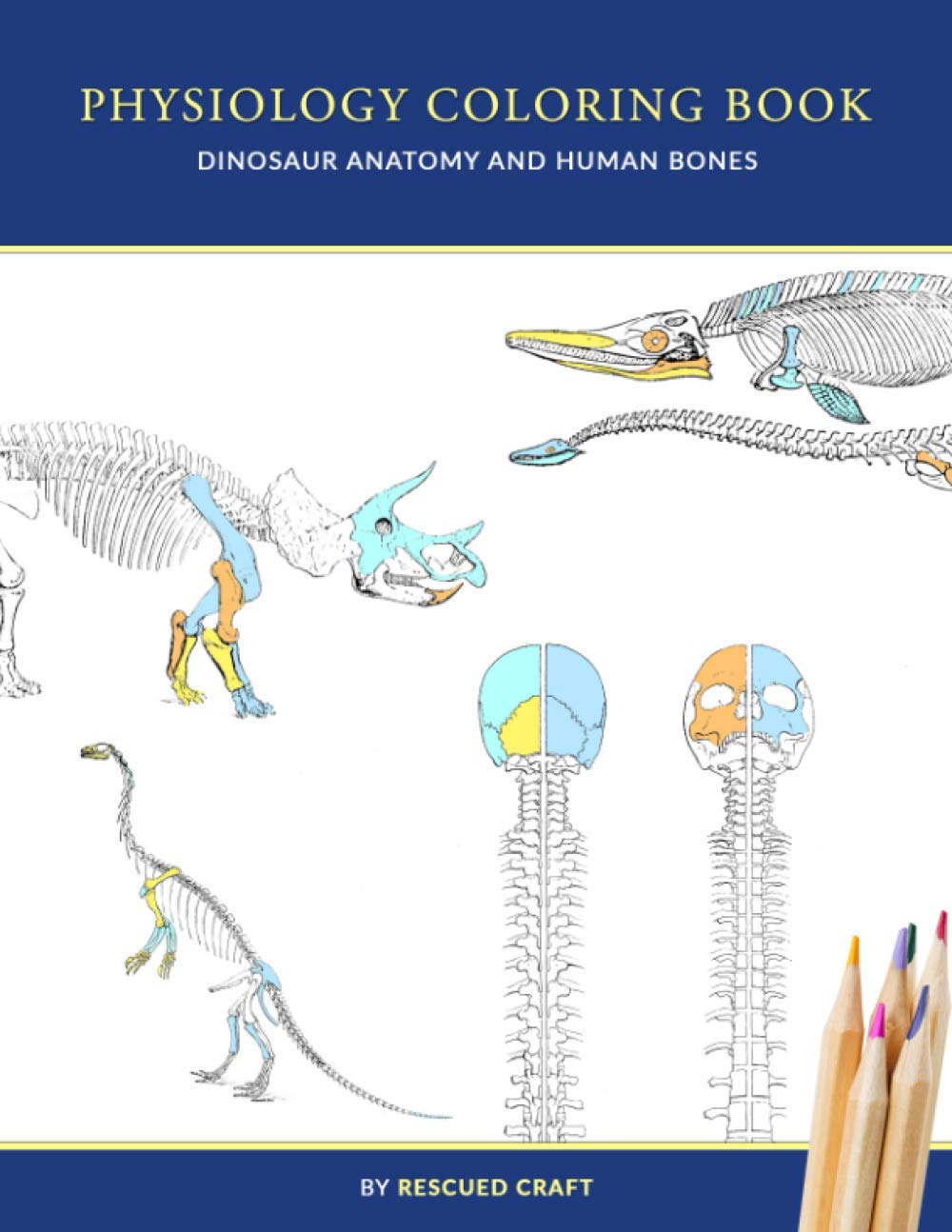Physiology Coloring Book: Dinosaur Anatomy and Human Bones | Colouring book for dinosaur lovers, veterinary technicians, paleontology and biology students