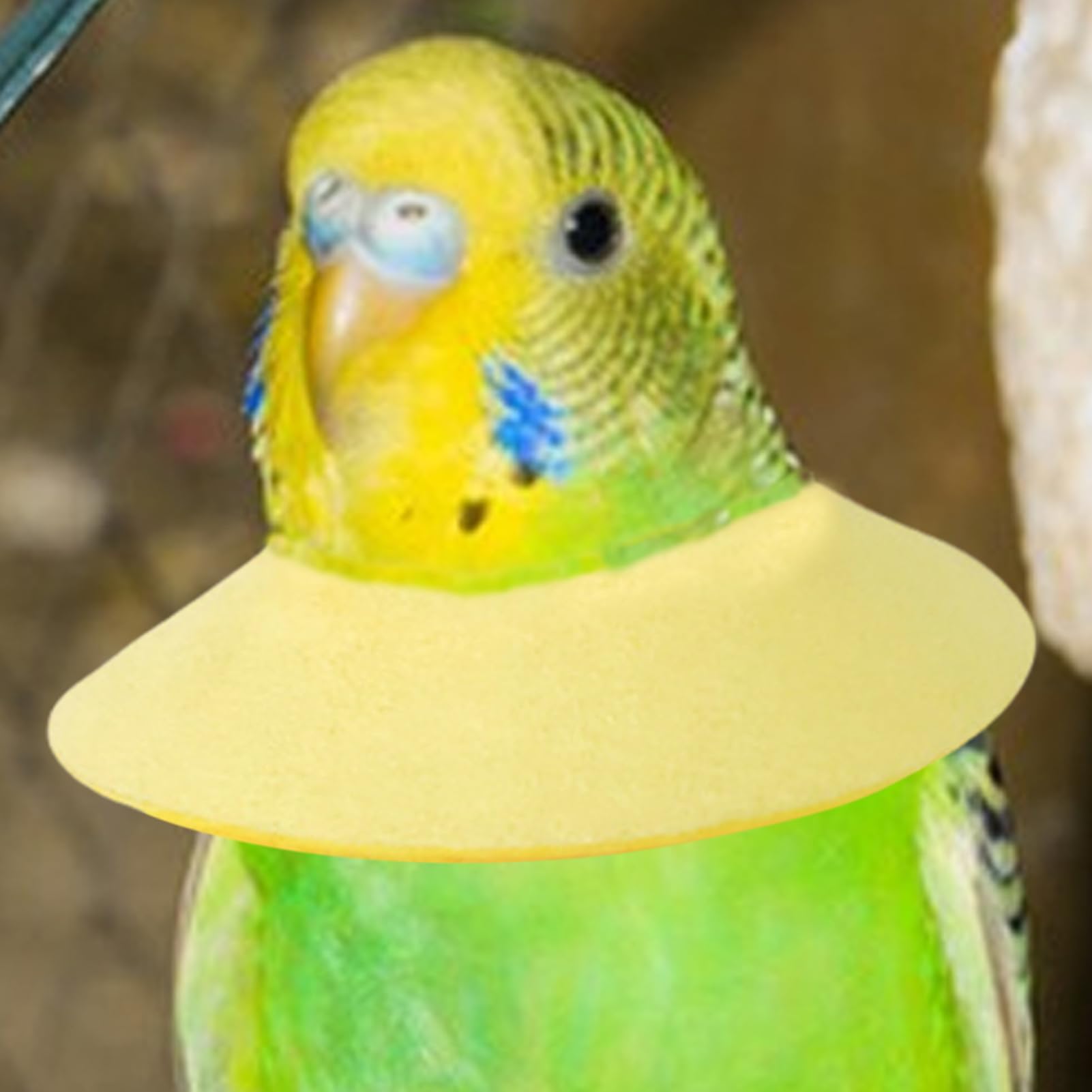Collar Isabelino para Pájaros: Cono Antimasticable Suave, Escudo De Recuperación Ligero | Material De Cuero De Terciopelo Suave Al, Múltiples Opciones De Tamaño, Control De Humedad, Uso Cómodo, — view 9