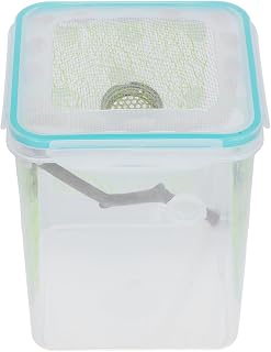 Mantis Feeding Box with Vent Holes Plastic Wooden Terrarium
