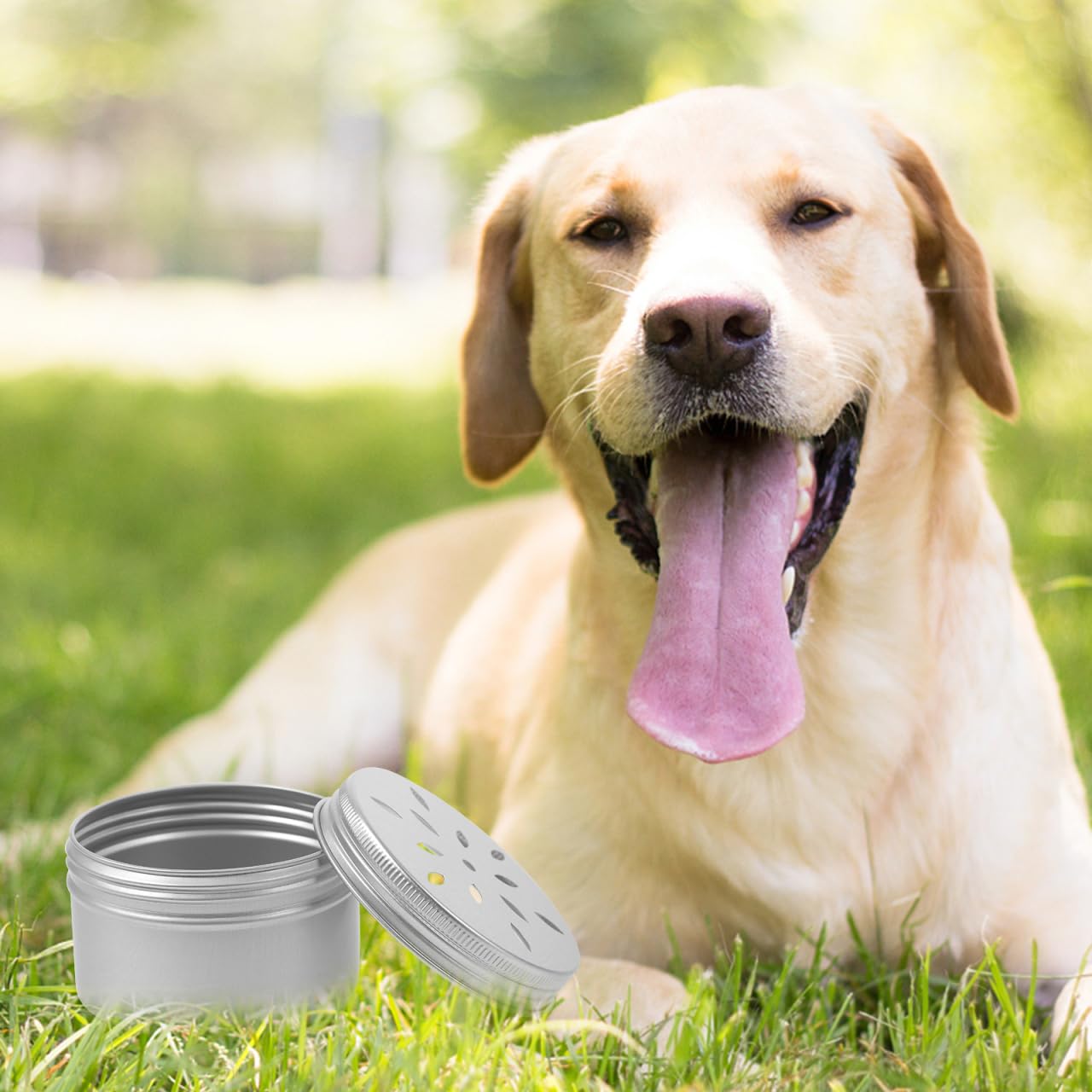 WOONEKY Lot de 10 récipients de dressage pour chien - En métal - Avec couvercle - Pour odeur de chien - Boîte à renifler - Boîte d'entraînement pour chien - Aromathérapie - Travail