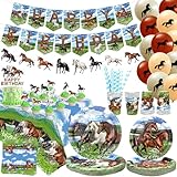 Decorazione per feste di compleanno a cavallo, forniture per feste di cavallo, piatti, tazze, tovaglioli, tovaglia, banner di buon compleanno, palloncini, topper per torte per cowboy western cowboy