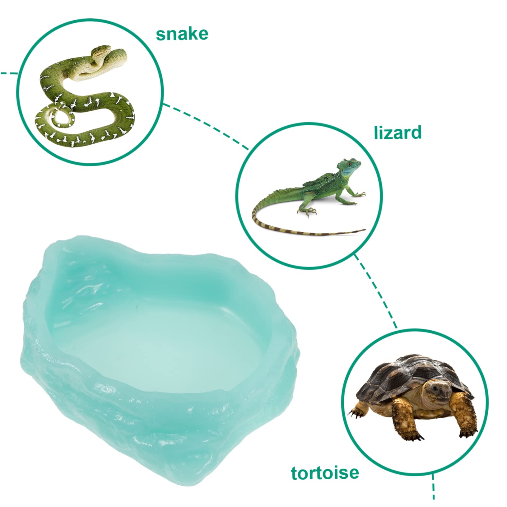 Hemobllo Ciotola d'Acqua Notturna per Rettili, Resina, Verde Chiaro | Forma a Vasca, Anti-rovesciamento, per Cibo o Liquidi, Adatta a Piccoli Animali e Lucente al Buio
