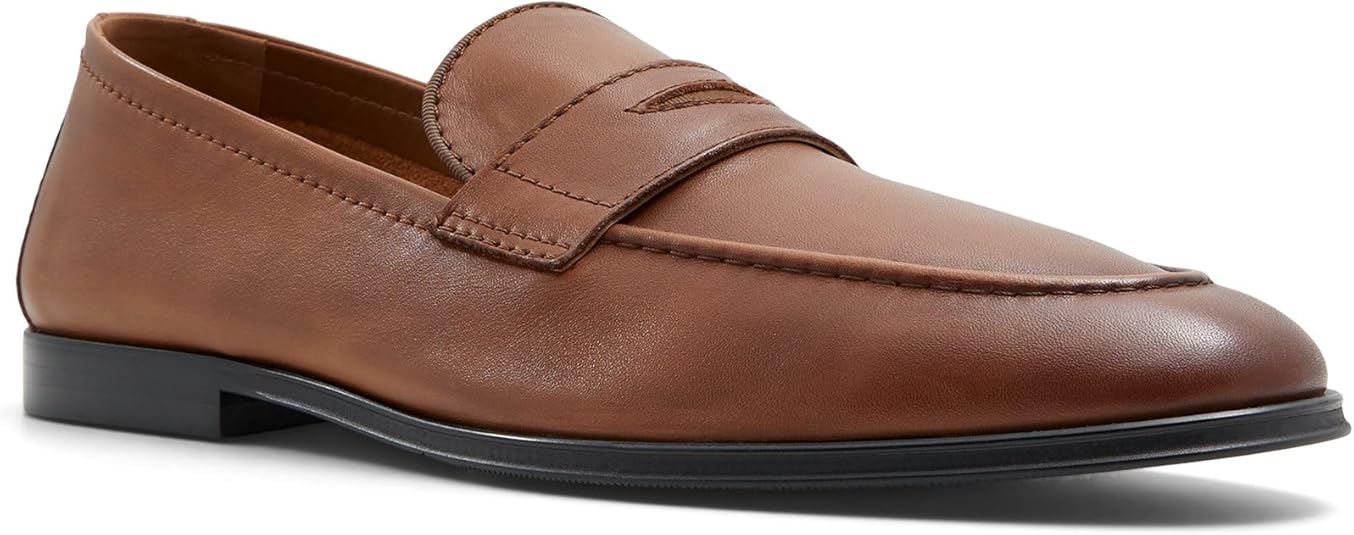 ALDO Men's Journey Loafer