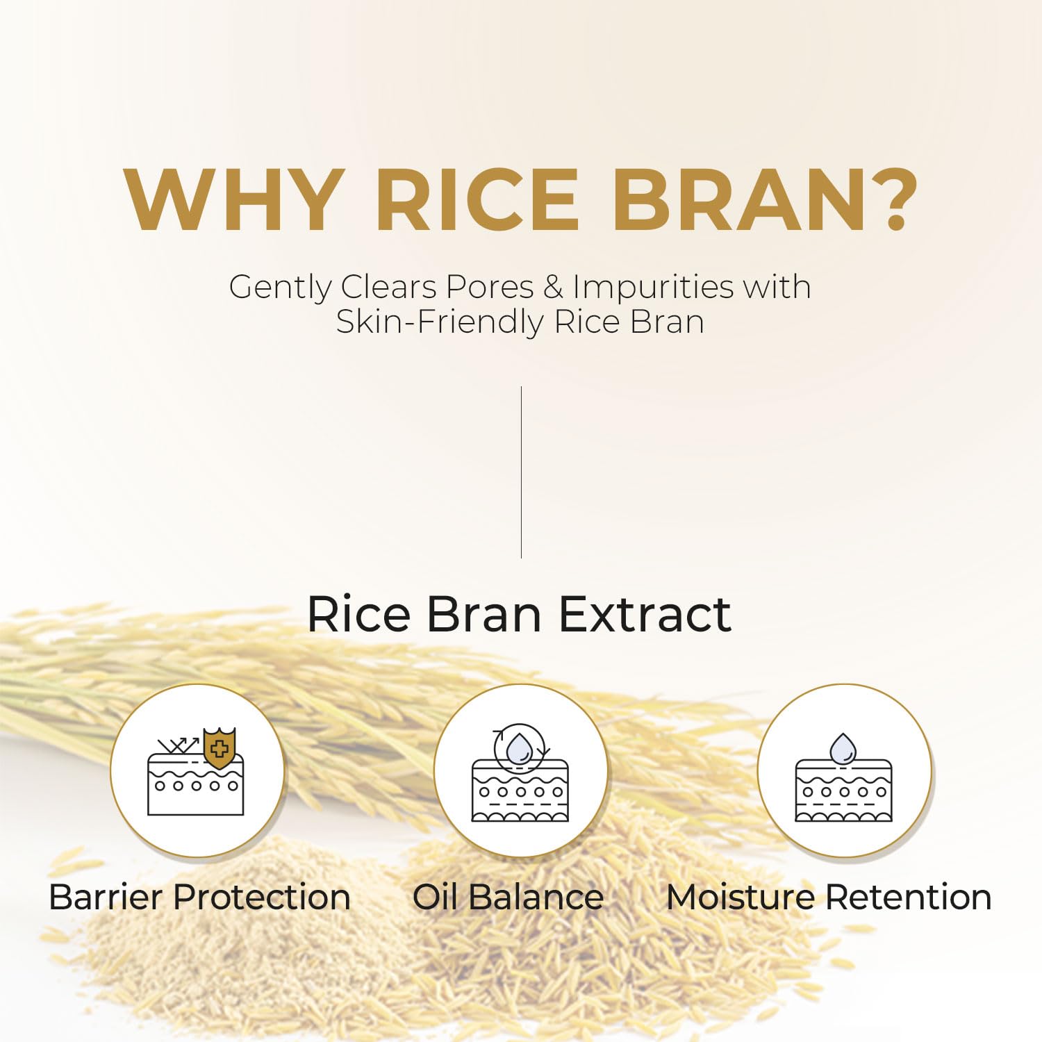 Pioom Rice Bran Cleansing Foam | Hydrating Face Wash for Sensitive Skin | Gentle K-Beauty Cleanser with Soft Creamy Texture & Lovely Scent | Family Size 16.9 fl oz - Image 9