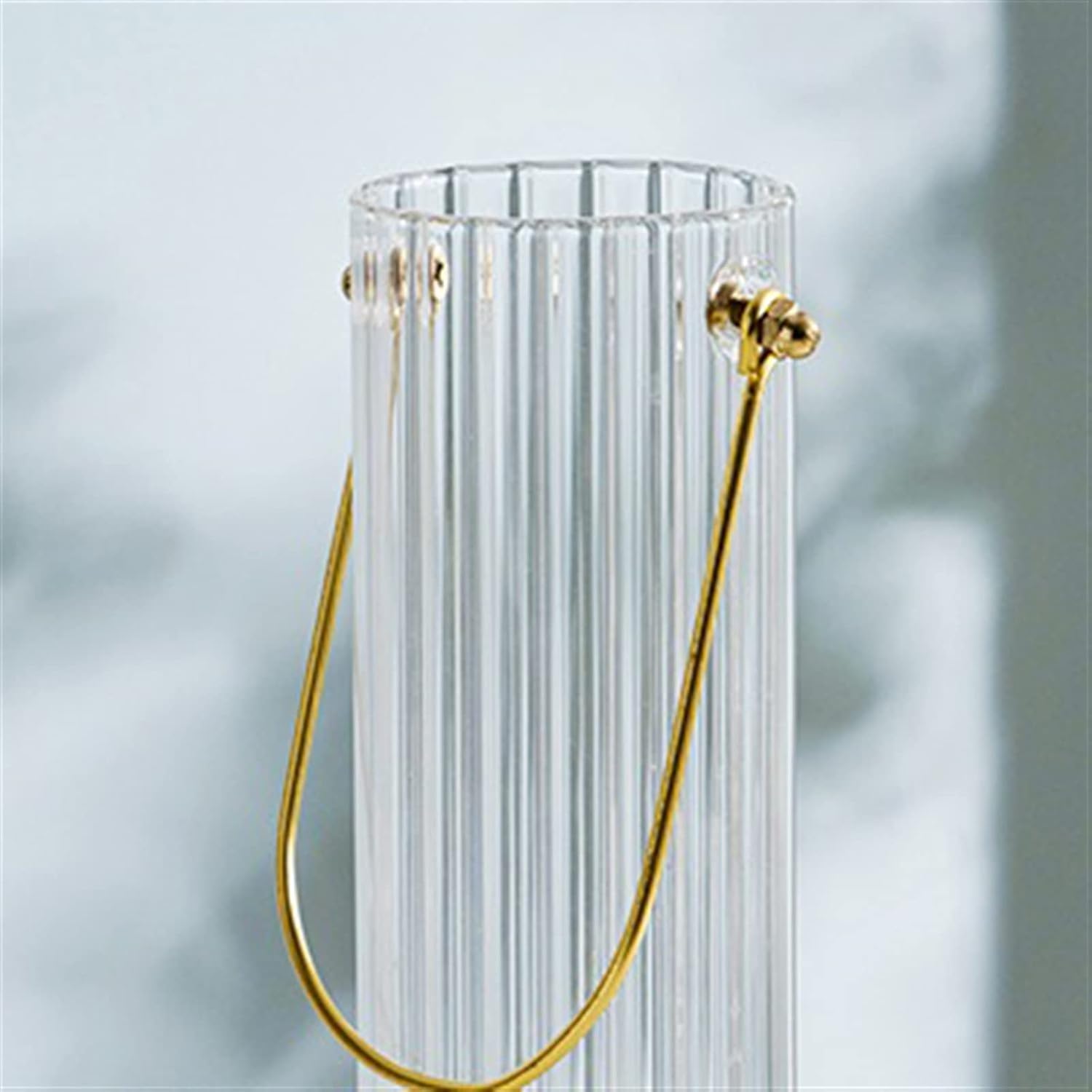 Vase Simple Transparent Glass Vase Water Culture Flowers Household Decoration Living Room Dry Flower Arrangement Mini Decoration Suitable for Dining and Living Room Home decoratio(Large)