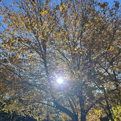 Episode 33 - Gratitude & Appreciation