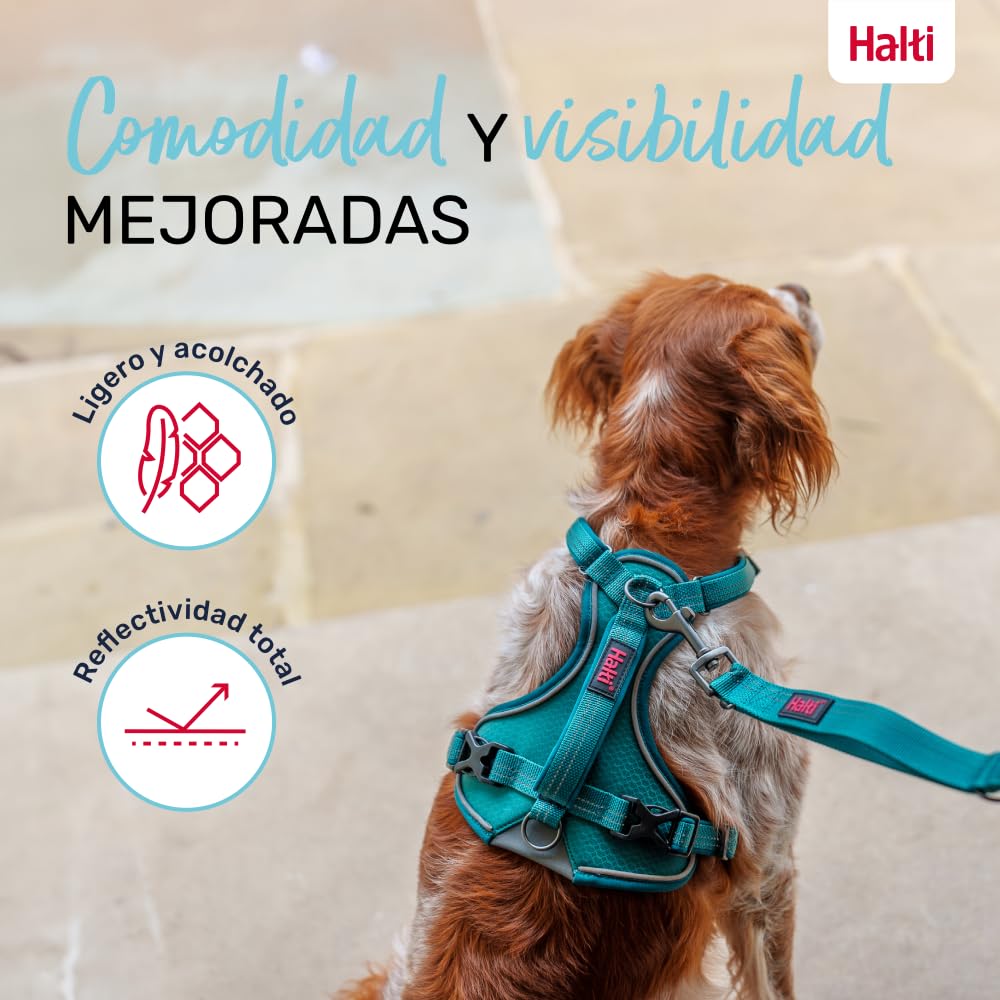 Arnés de perro HALTI Anatomy con asa - Proporciona libertad de movimiento a tu perro para que pasee cómodamente. 3 puntos de enganche y acolchado de neopreno y ajustable (Talla XS, Verde Azulado) — view 6