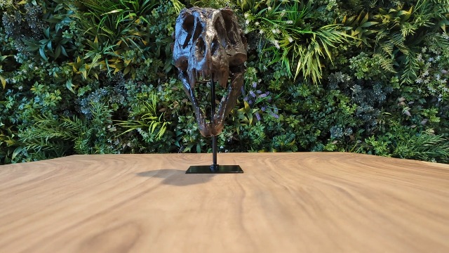 T-Rex