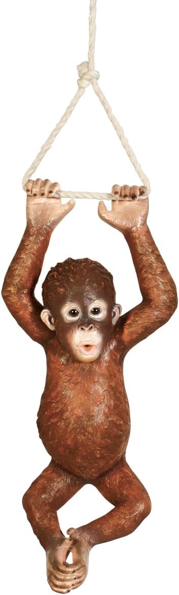 Design Toscano Pongo, the Hanging Baby Orangutan Statue