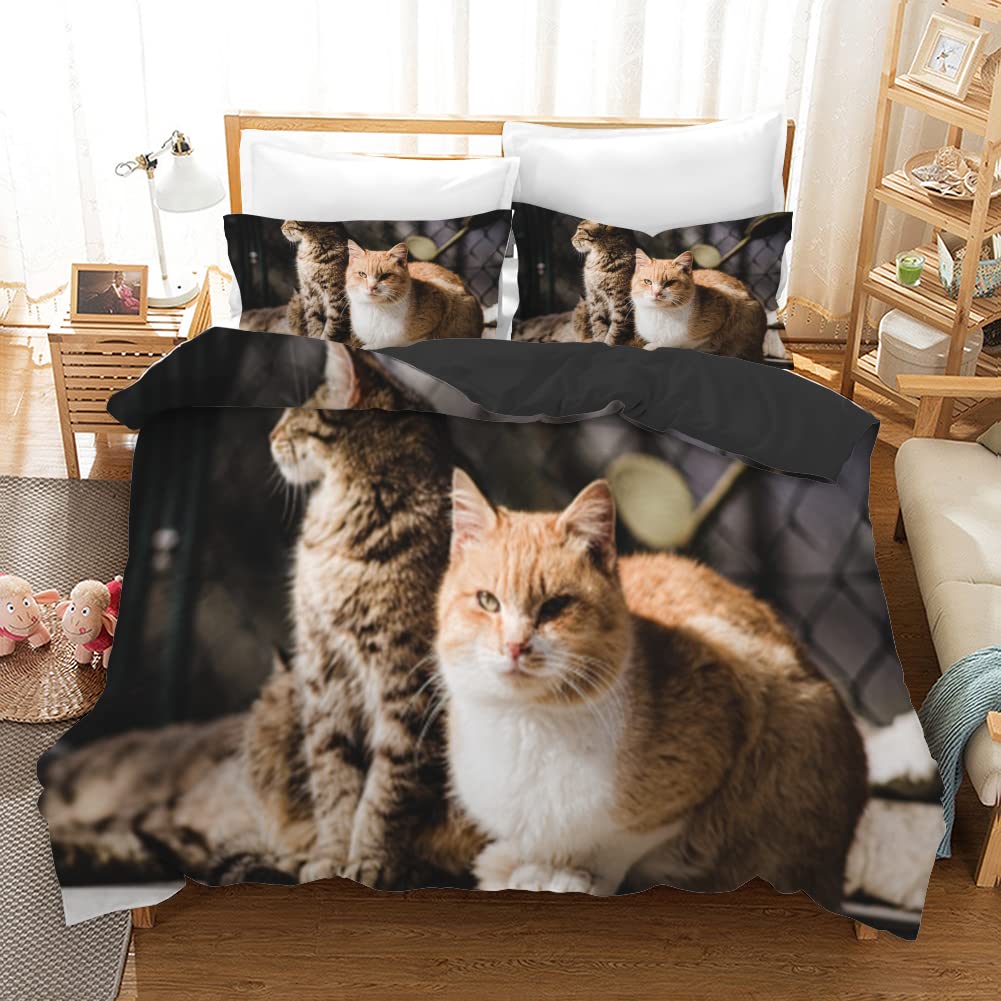 Housse de couette 220x240 chat brun en microfibre pour lit deux personnes