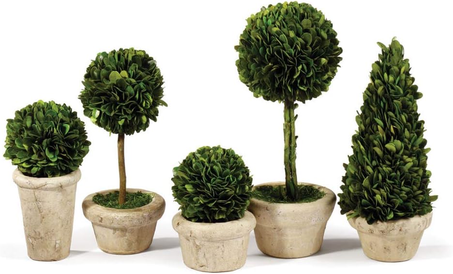 Traditional Garden Boxwood Topiaries In Pots, Set Of 5 Largest: 4.5 x 4.5 x 11.25 Smallest: 4 x 4 x 4.75 Green