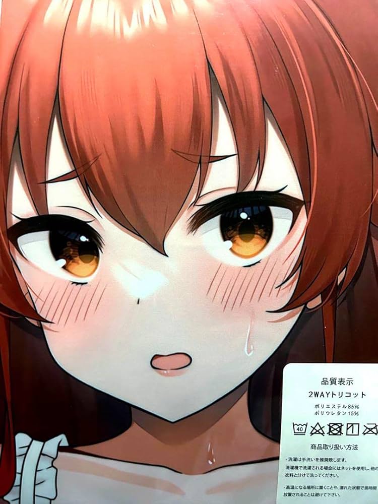 無職転生 抱き枕カバー　国内正規品　エリス Amazon.co.jp: 無職転生 エリス 抱き枕カバー : ドラッグストア