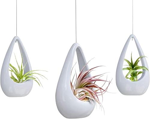 23 Bees | Hanging Air Plant Holder | White Hanger Ceramic Planter | Small Floating Succulent Pots Container | Cactus Holders with Metal Wire | 3 Pack